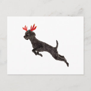 Reindeer Antlers från Pudel i Hund vid jul Black L Helg Vykort