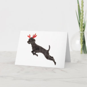 Reindeer Antlers från Pudel i Hund vid jul Black L Helgkort