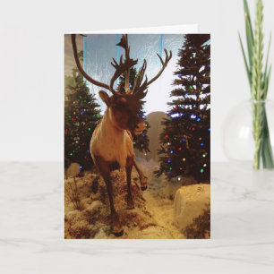 "REINDEER AT SANTA'S WORKSHOP" HELGKORT