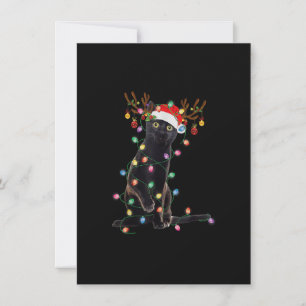 Reindeer Black Cat jul Ljus Funny Cat Kärlek Inbjudningar