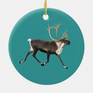 Reindeer - Bull Västindiou Julgransprydnad Keramik