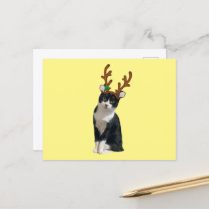 Reindeer Calliope Helg Vykort