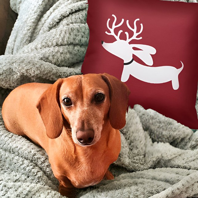 Reindeer Dachshund Pillow on Red Kudde (Dachshund Christmas Pillow - weendeer dachshund for wiener dog families!)