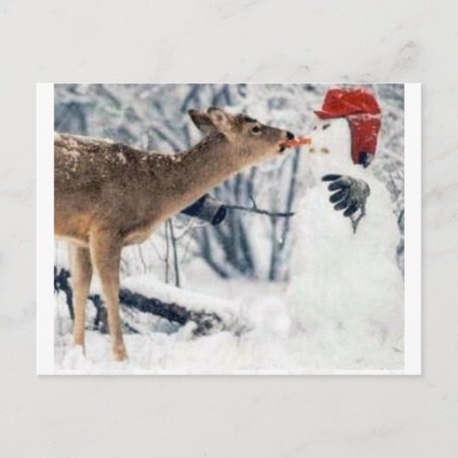 Reindeer Eating Snögubbe Vykort (Framsida)