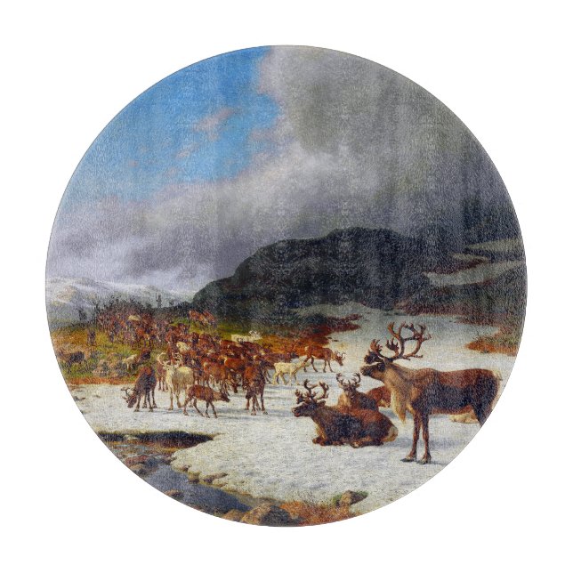 Reindeer Herd i bergen norr om Røros (Framsidan)