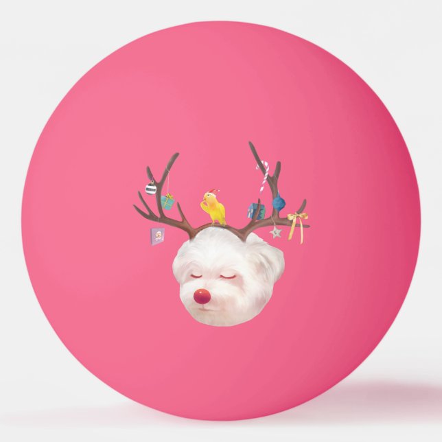 Reindeer Hund med julprydnad Pingisboll (Framsidan)