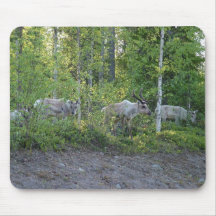 Reindeer i Lapland mousepad