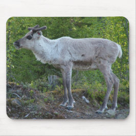 Reindeer i Lapland mousepad Musmatta
