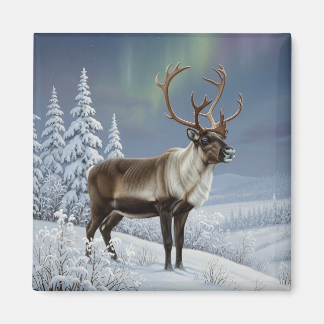 Reindeer in Lapland Finland Travel Magnet (Framsidan)