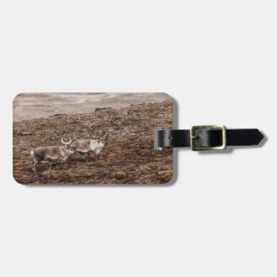 Reindeer Nature Photo Bagagebricka