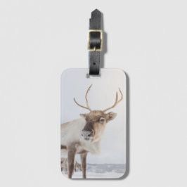 Reindeer Nature Photo Bagagebricka
