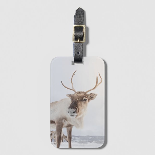 Reindeer Nature Photo Bagagebricka (Framsida vertikal)