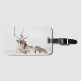 Reindeer Nature Photo Bagagebricka