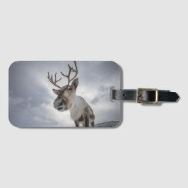 Reindeer Nature Photo Bagagebricka