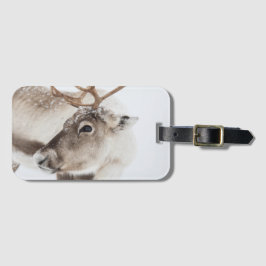Reindeer Nature Photo Bagagebricka