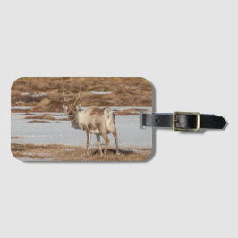Reindeer Nature Photo Bagagebricka