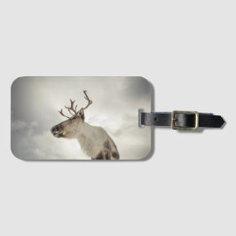 Reindeer Nature Photo Bagagebricka