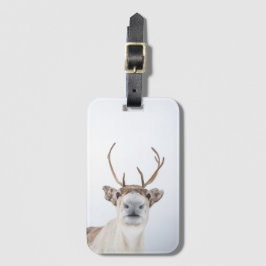 Reindeer Nature Photo Bagagebricka