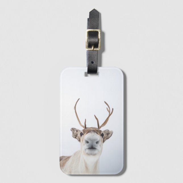Reindeer Nature Photo Bagagebricka (Framsida vertikal)