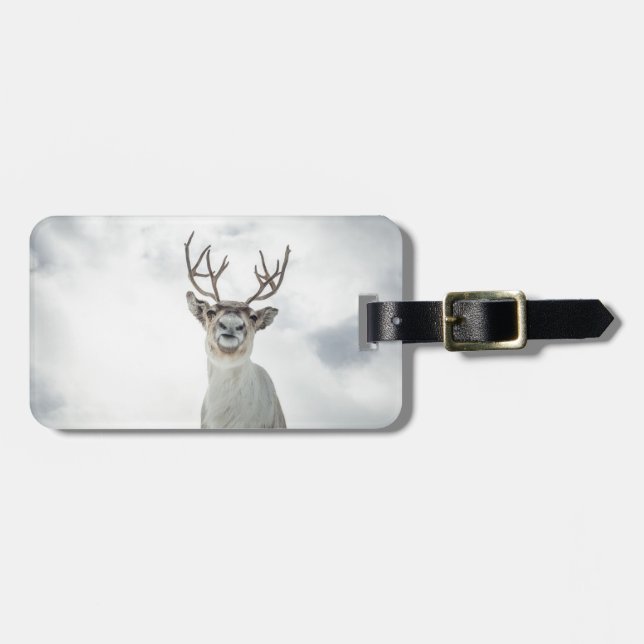 Reindeer Nature Photo Bagagebricka (Horisontell Framsida)
