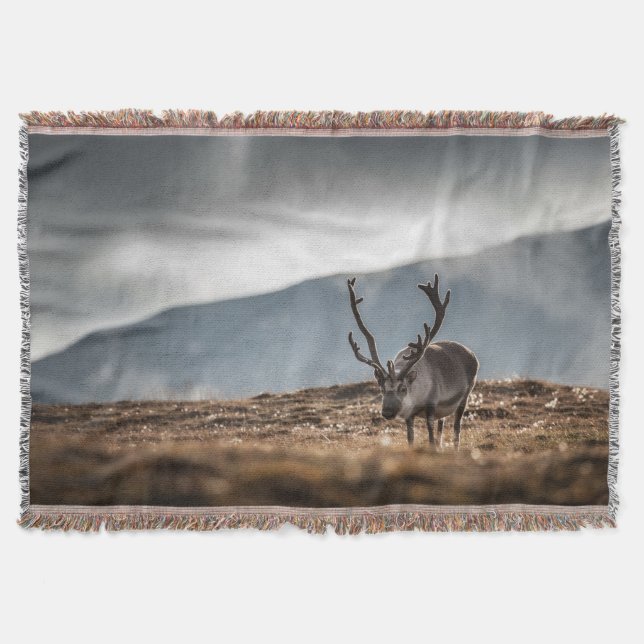 Reindeer Nature Photo Filt (Framsidan)