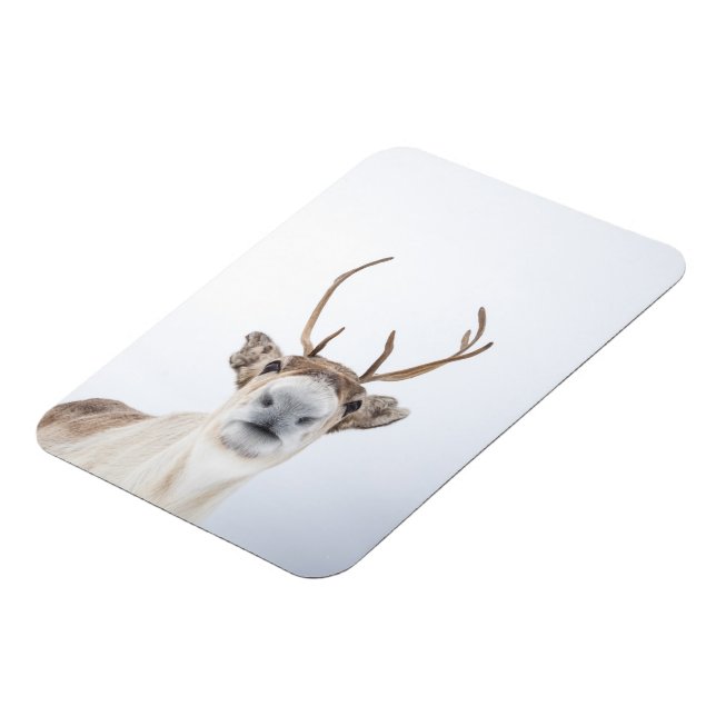 Reindeer Nature Photo Magnet (Vänstra Sidan)