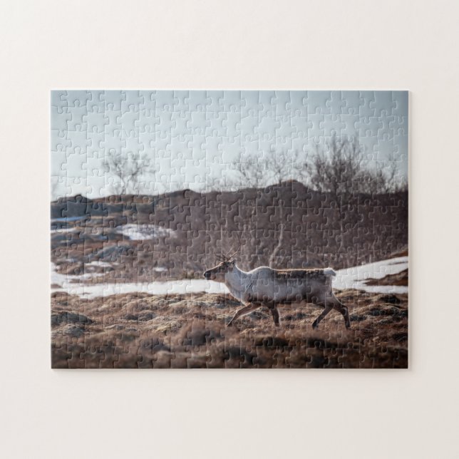 Reindeer Nature Photo Pussel (Horisontell)