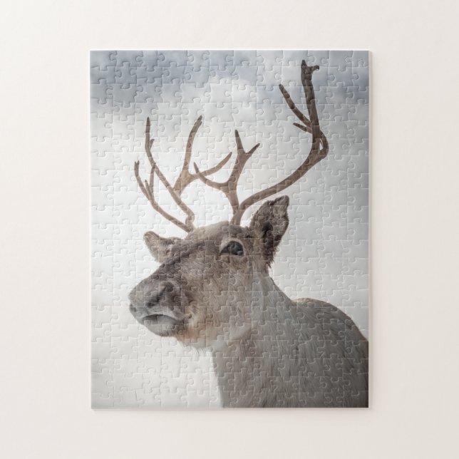 Reindeer Nature Photo Pussel (Vertikal)