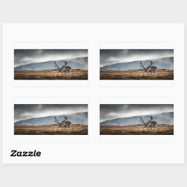 Reindeer Nature Photo Rektangulärt Klistermärke