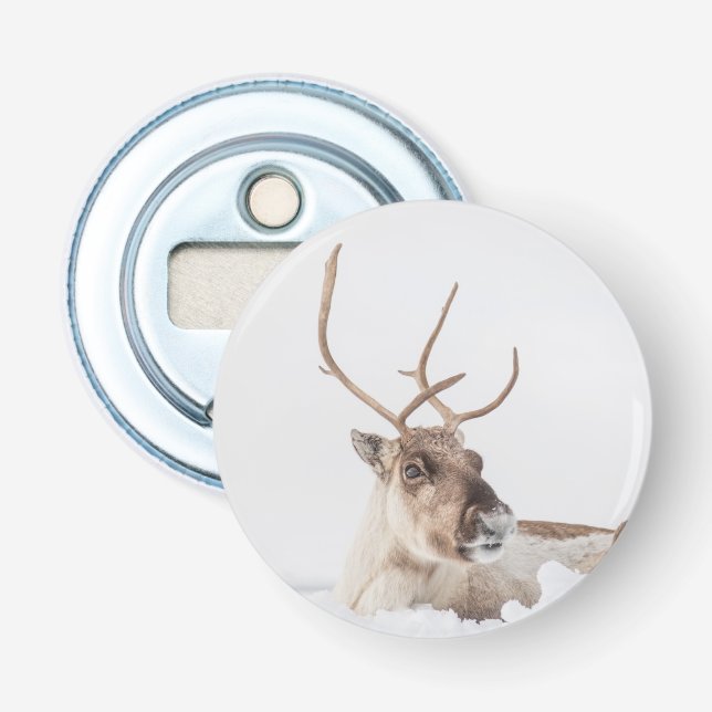 Reindeer Nature Photo Souvenir Flasköppnare (Framsidan)