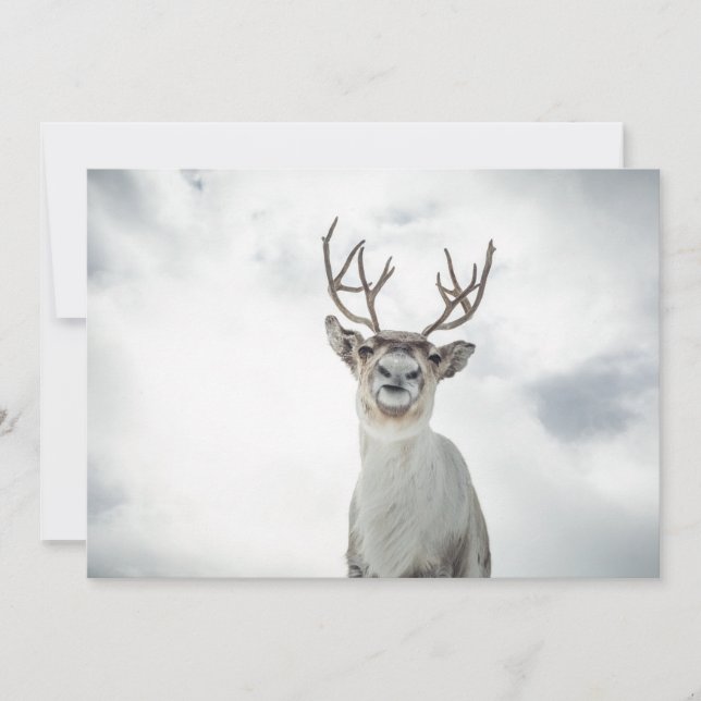 Reindeer Photo Card (Framsida)