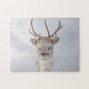 Reindeer Photo Pussel