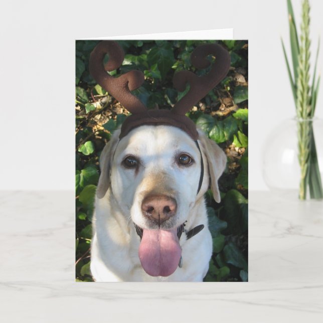 Reindeer Prima Helgkort (Framsida)