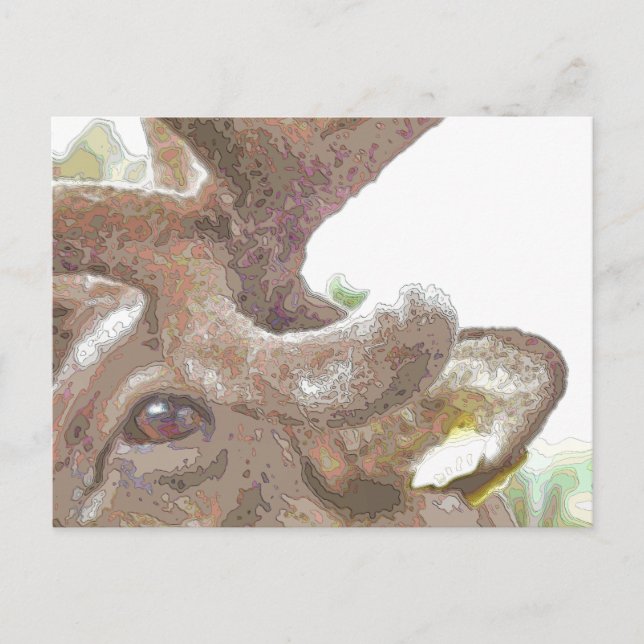 REINDEER VYKORT (Framsida)