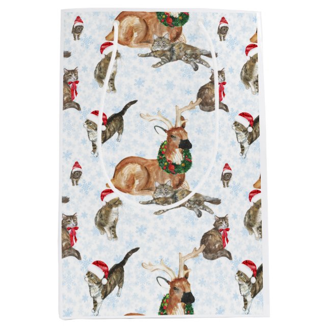 Reindeers and Kitty Cats (Framsidan)