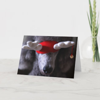 Reindoodle helgdagkort mig helgkort