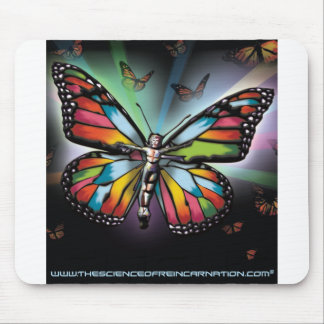 Reinkarnation Musmatta