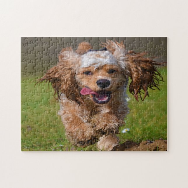 Reinrasiga Cocker Spaniels. Pussel (Horisontell)