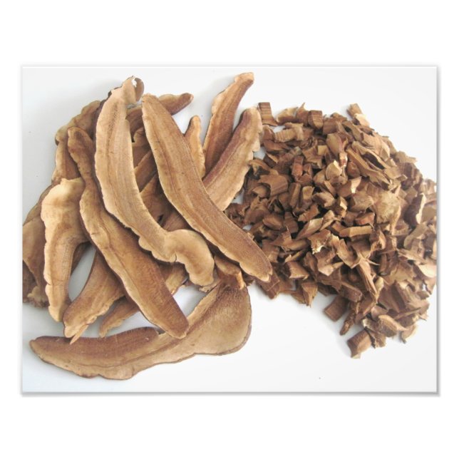 Reishi Mushroom Photo Print Fototryck (Framsidan)