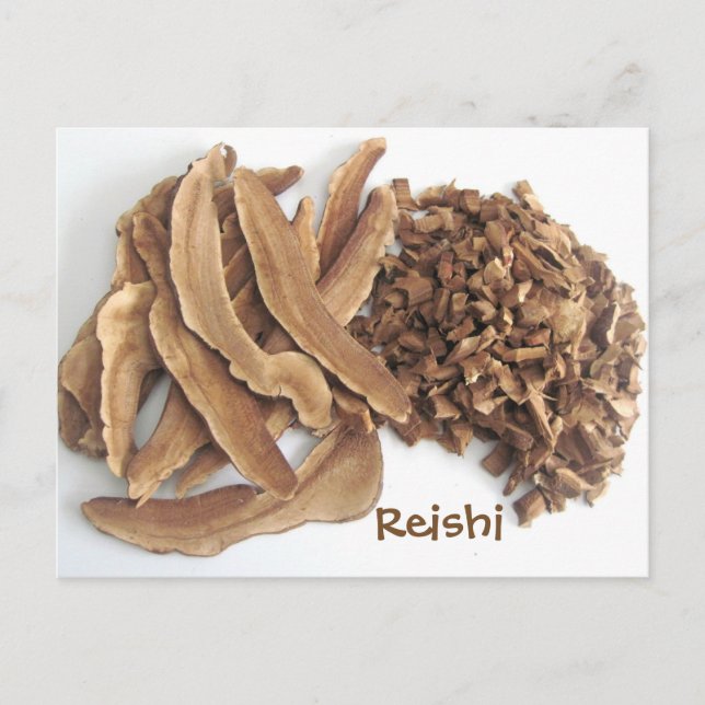 Reishi Mushroom Vykort (Framsida)