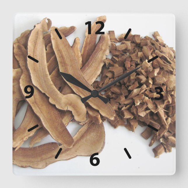 Reishi Mushroom Wall Clock Fyrkantig Klocka (Framsida)