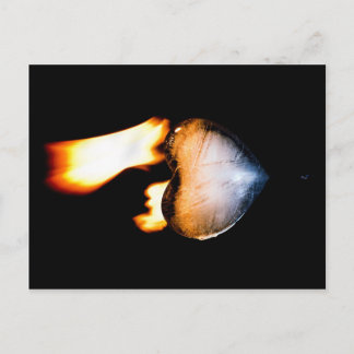 Rekindated Postcard Vykort