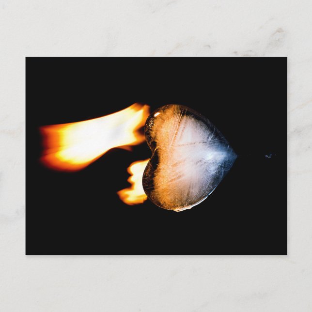 Rekindated Postcard Vykort (Framsida)