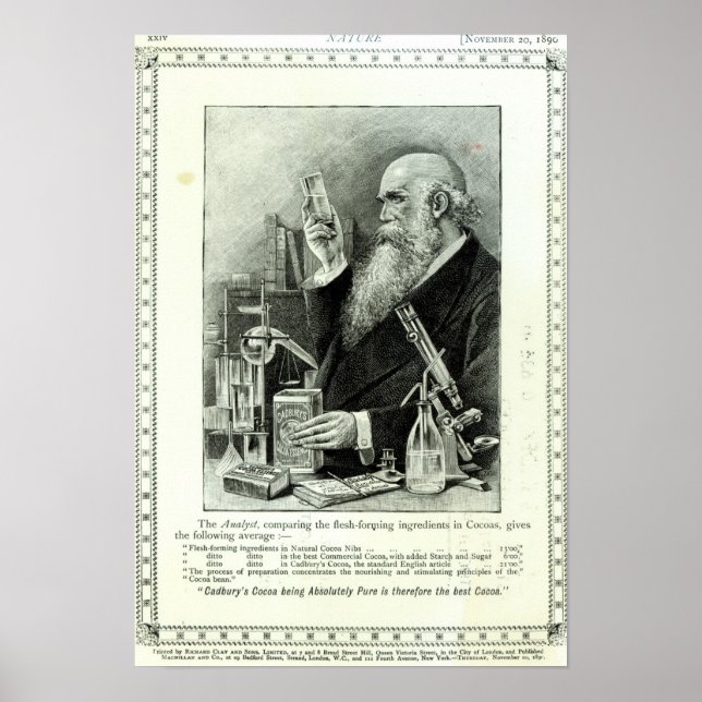 Reklam för "Cadbury's Cocoa" Poster (Framsidan)