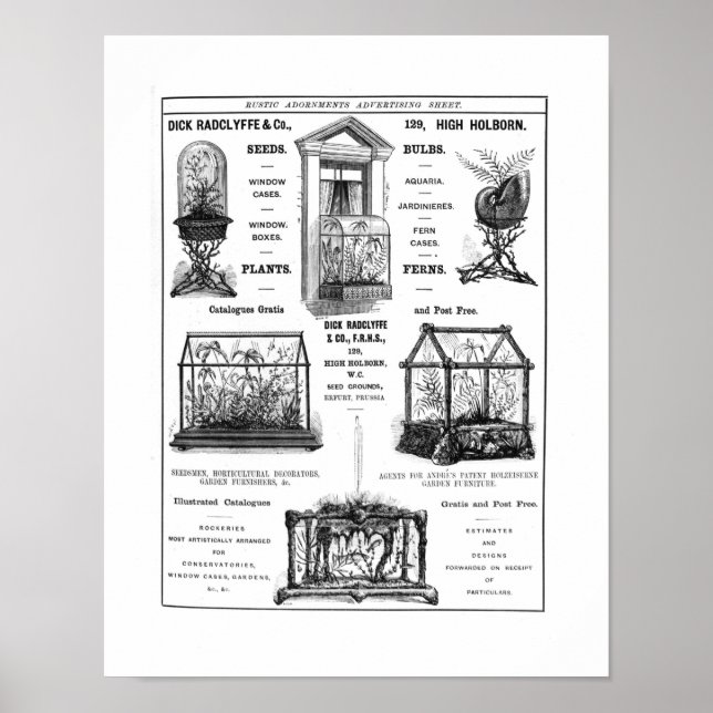 Reklam för Dick Radclyffe & Co. Rustic Ad Poster (Framsidan)