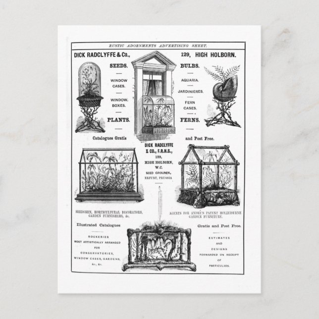 Reklam för Dick Radclyffe & Co. Rustic Ad Vykort (Framsida)