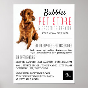 Reklam för hund, sällskapsdjur och jordgubbar poster