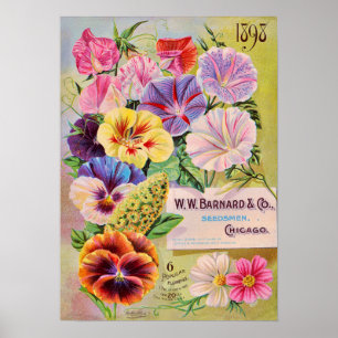 Reklam för Vintage av blomsterodlingskatalog Poster