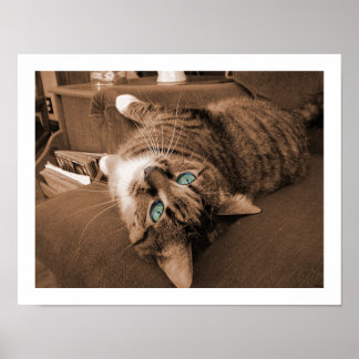 Reklam i Twill Poster