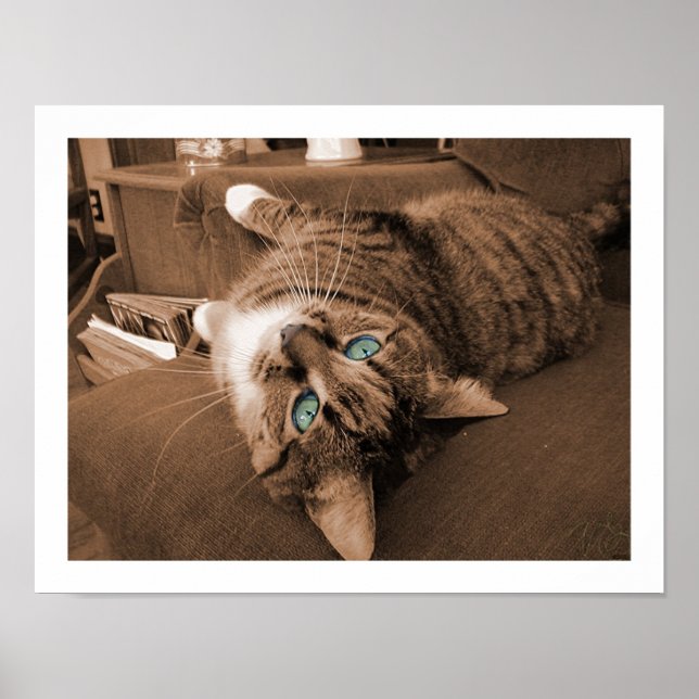 Reklam i Twill Poster (Framsidan)